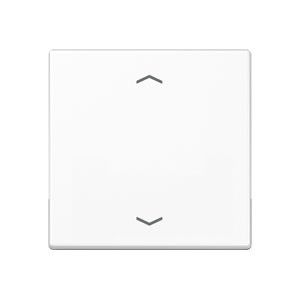 Wippe 1-fach A 590 BF P WW