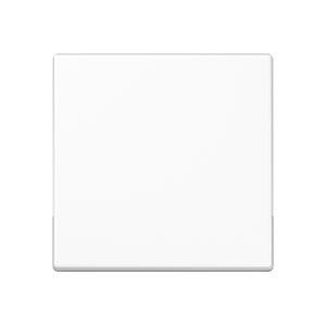 Wippe 1-fach A 590 BF WW