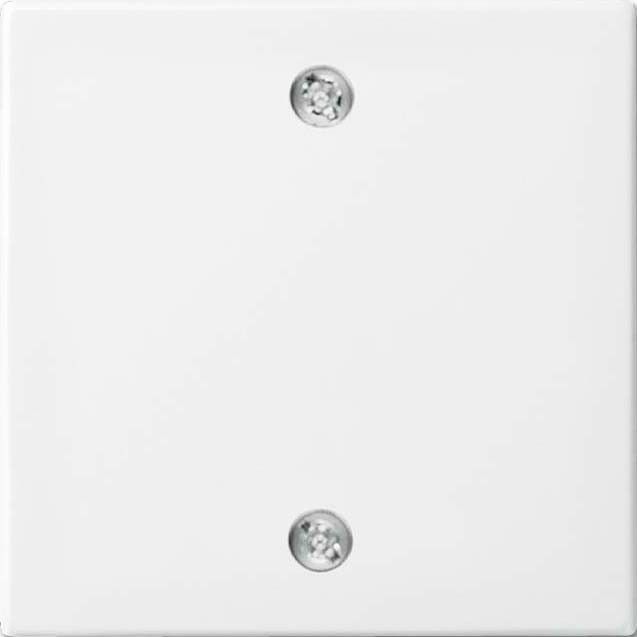 Zentralscheibe 1796-914