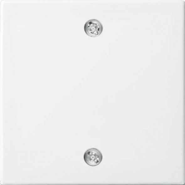 Zentralscheibe 1796-914