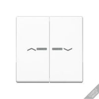 Wippe Symbole Pfeile bel. A 595 BF KO5 P ANM