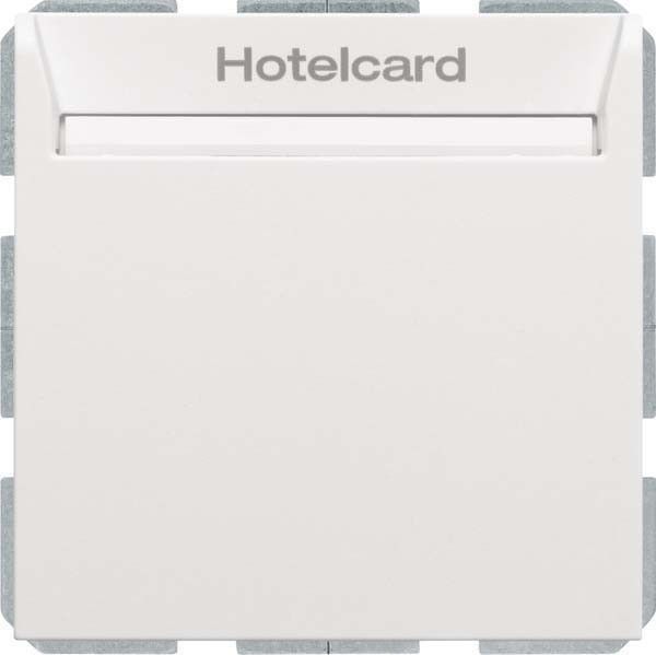 Relais-Schalter Hotelcard 16409909 polarweiß matt