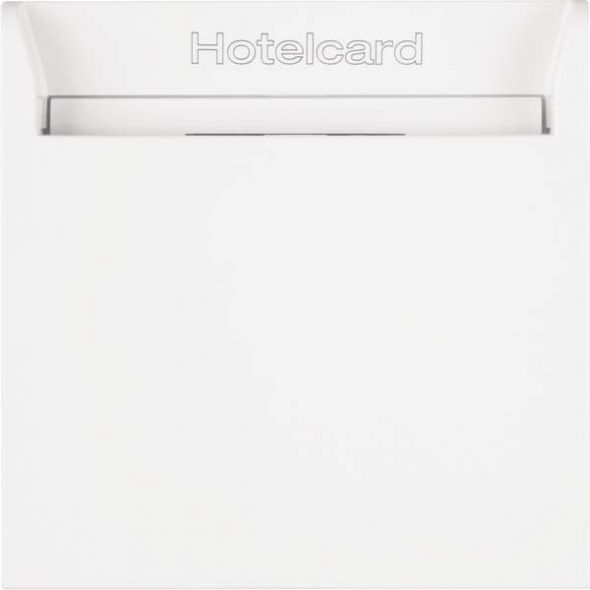 Relais-Schalter Hotelcard 16408999 polarweiß glänzend
