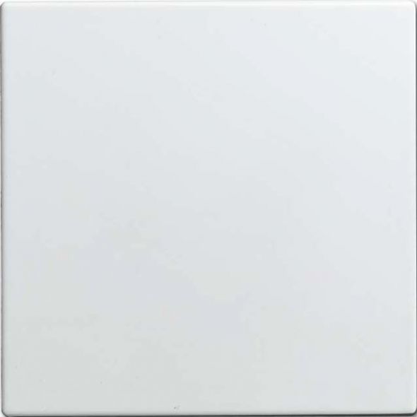 Blindzentralscheibe 1576 C-914
