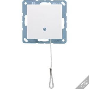 Zugwechselschalter 10 AX A 506 BF NUZ