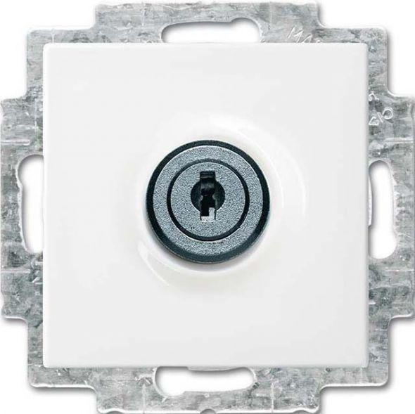 SCHUKO Steckdosen-Einsatz 20 EUKBSL-914