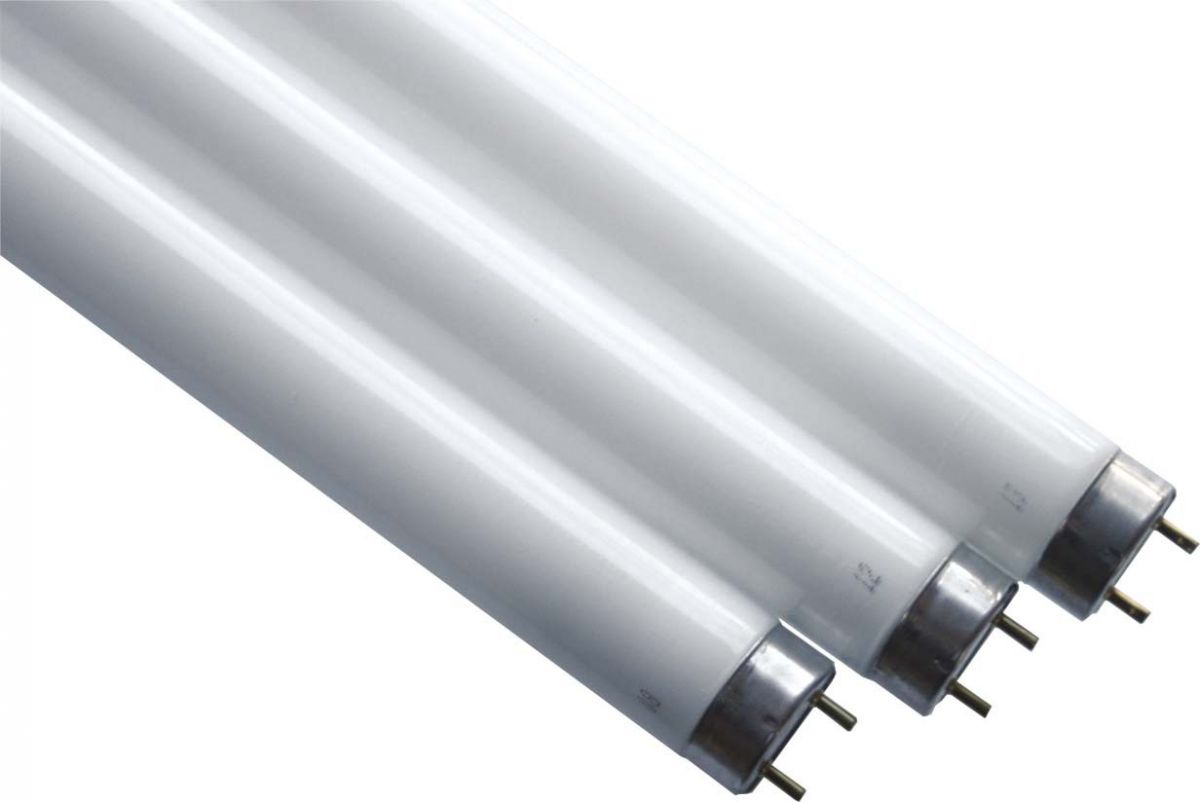 Leuchtstofflampe 44173