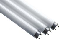 Leuchtstofflampe 44173