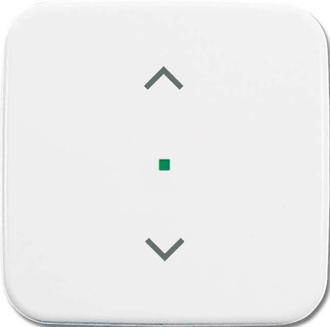 Wippe 1-fach, Symbol Licht 6232-10-214