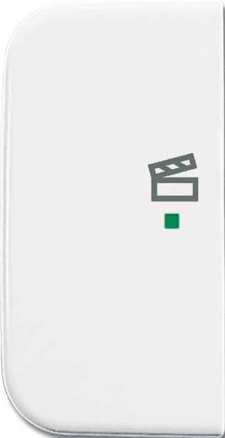 Wippe 1-fach, Symbol Licht 6233-21-214