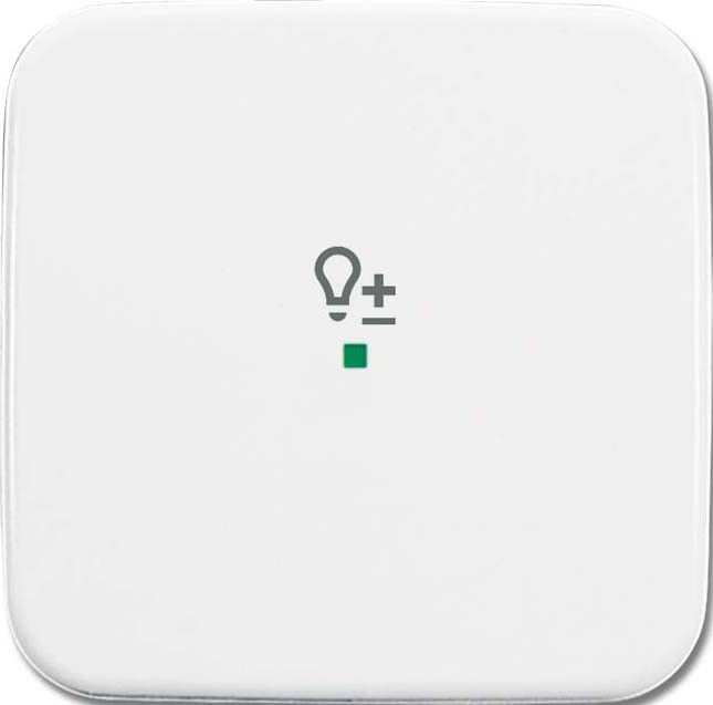Wippe 1-fach, Symbol Licht 6234-10-214