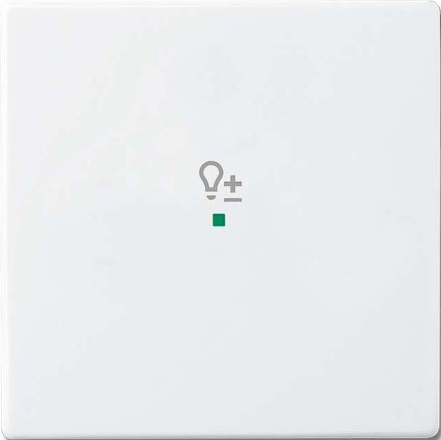 Wippe 1-f Symbol Dimmer 6234-10-84