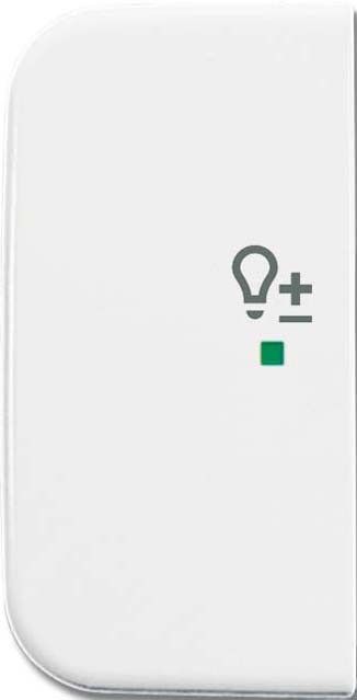 Wippe 1-fach, Symbol Licht 6234-21-214