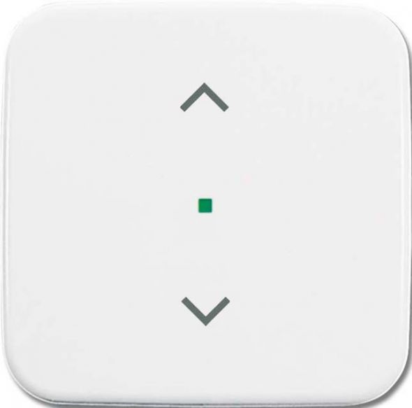 Wippe 1-fach, Symbol Licht 6232-10-214