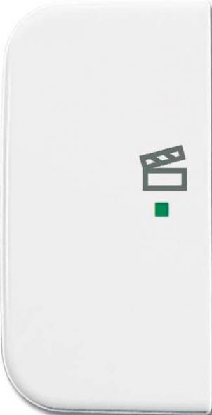 Wippe 1-fach, Symbol Licht 6233-21-214