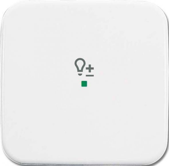 Wippe 1-fach, Symbol Licht 6234-10-214