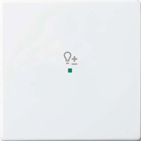 Wippe 1-f Symbol Dimmer 6234-10-84