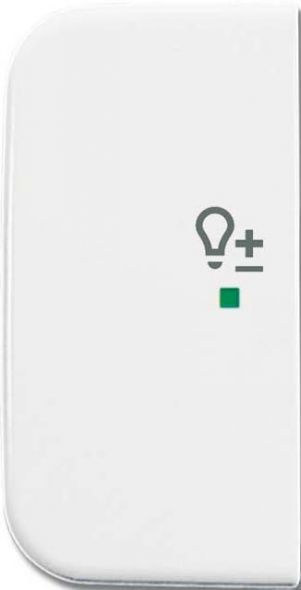 Wippe 1-fach, Symbol Licht 6234-21-214