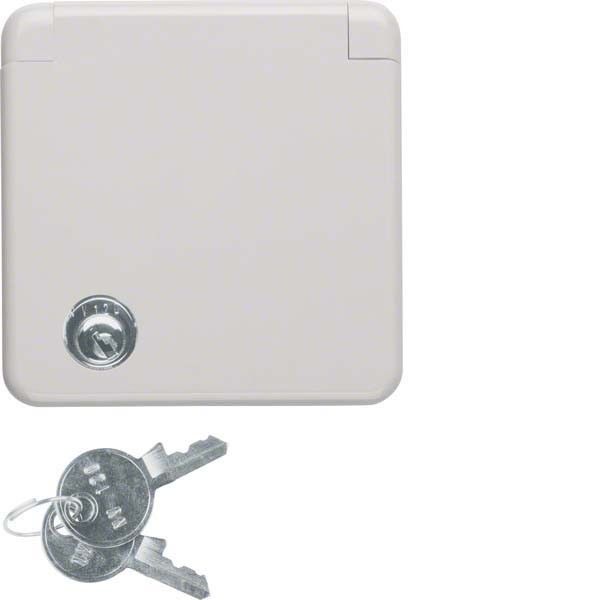 Steckdose 4212 grau glänzend