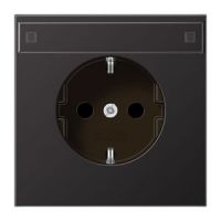 SCHUKO-Steckdose 16A 250V AL1520NAD