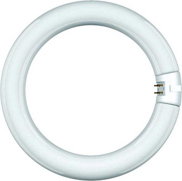 Leuchtstofflampe Ringform 44100