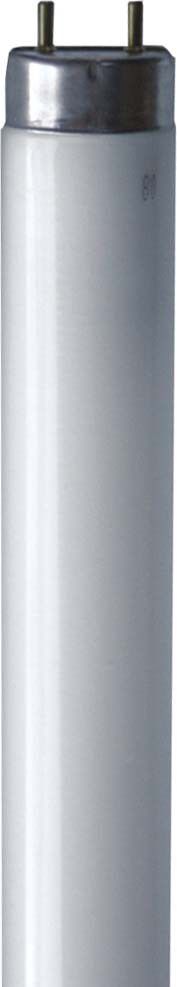 Leuchtstofflampe 44183