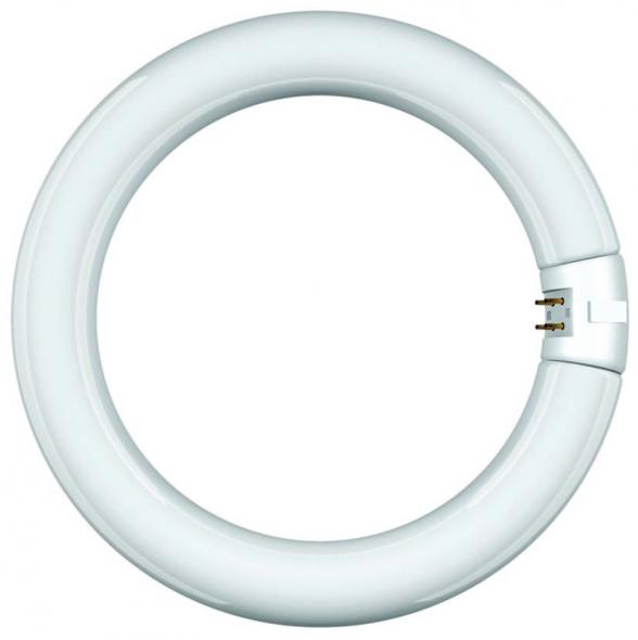 Leuchtstofflampe Ringform 68326
