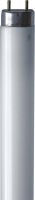 Leuchtstofflampe 44183