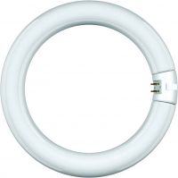 Leuchtstofflampe Ringform 68815