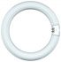 Leuchtstofflampe Ringform 68326