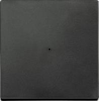 System M