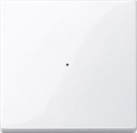 System M