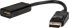 DisplayPort Adapter DP54