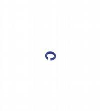 Markierungsring V1-MARKING-RING-BLUE