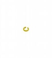 Markierungsring V1-MARKING-R#322155