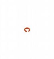 Markierungsring V1-MARKING-R#322160