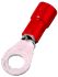 Quetschkabelschuh ICIQ358
