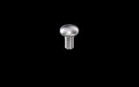 Torbandschraube SNB8x20