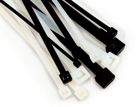Kabelbinder FS 200 DW-C(VE100)