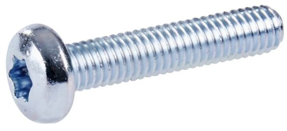 Flachkopf-Schraube ZX910P10 (VE10)