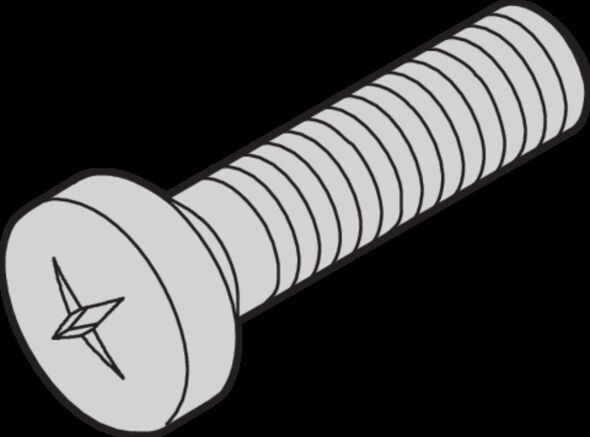 Linsenkopfschraube 21101222 (VE100)