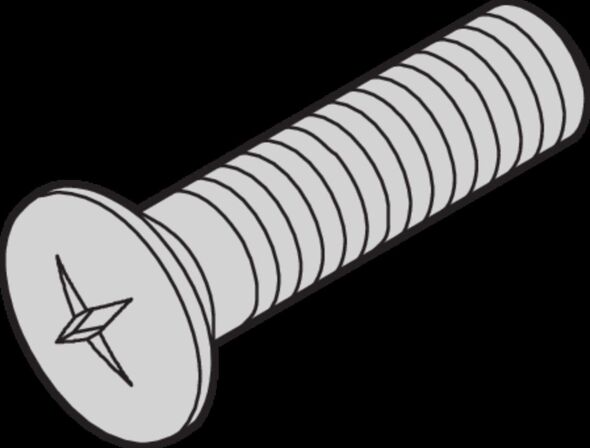 Linsensenkschraube 21100429 (VE100)