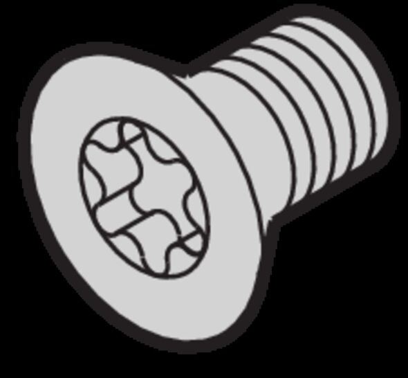 Senkschraube 24560183 (VE100)