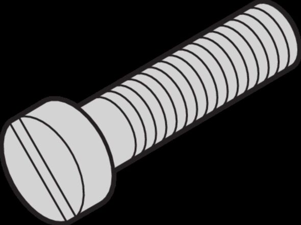 Zylinderschraube 21100431 (VE100)