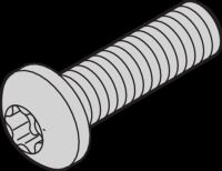 Schraube 24560130 (VE100)