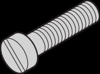 Zylinderschraube 21100431 (VE100)