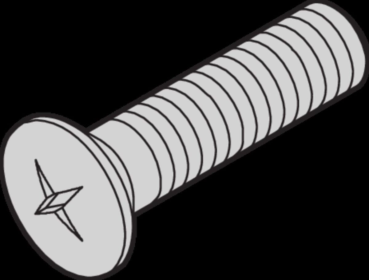 Linsensenkschraube 21100429 (VE100)