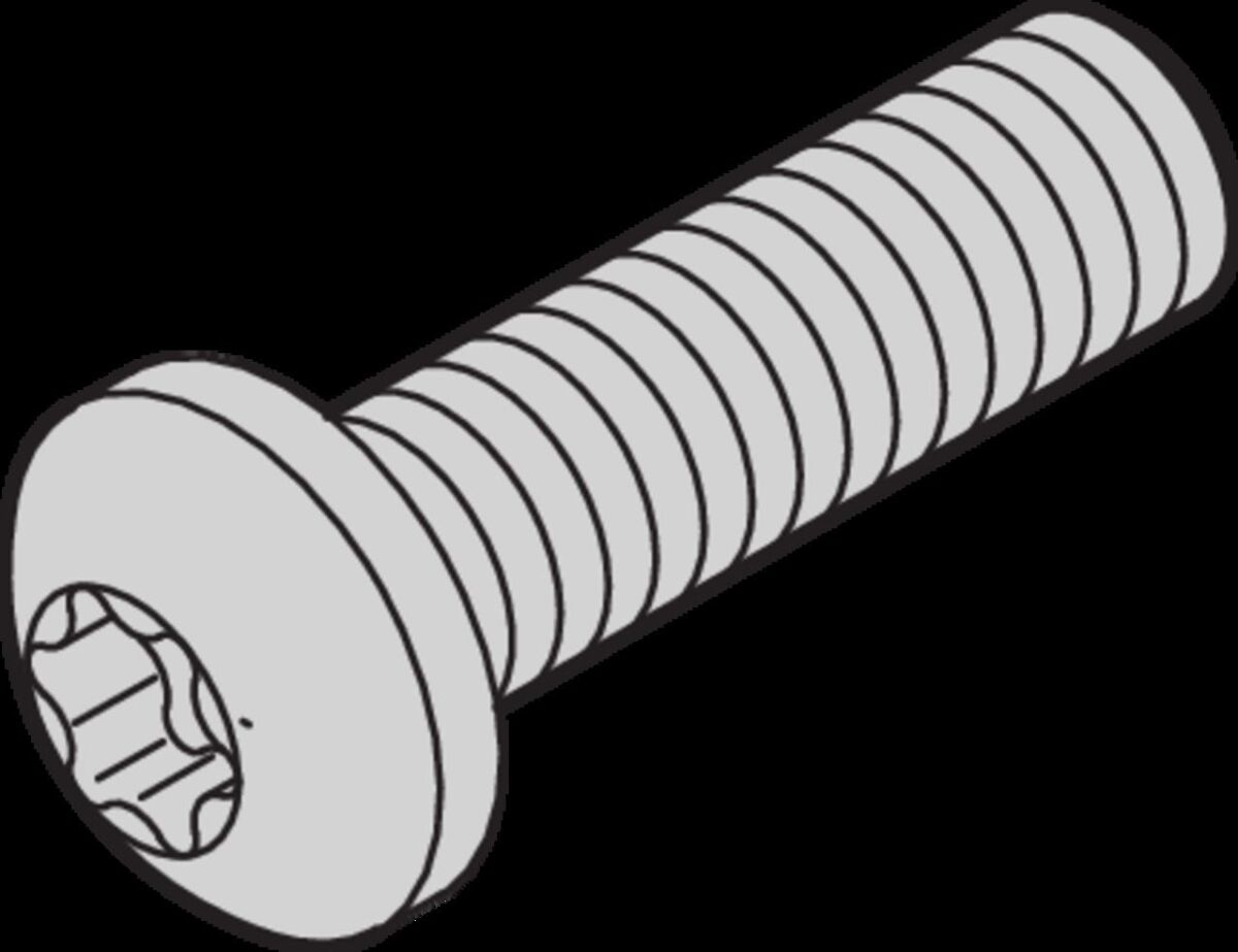 Schraube 24560130 (VE100)