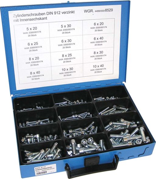 Zylinderschrauben 4499/000/06 8529