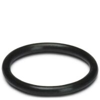 Dichtring WP-OR M40